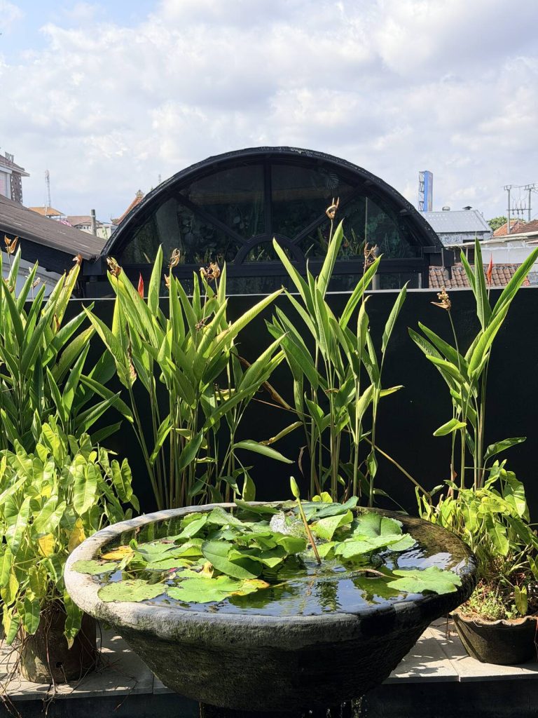 Sambal Shrimp 座位旁的石缸水生植物與熱帶葉材